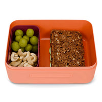Fond of ergobag Brotdose Tiger orange 17 x 7 x 14 cm leichter und robuster Kunststoff - Ansicht 4