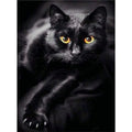 Pracht Diamond Painting Schwarze Katze (Design 25x35cm)